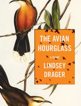 Avian Hourglass, The Cheap