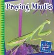 Praying Mantis Supply