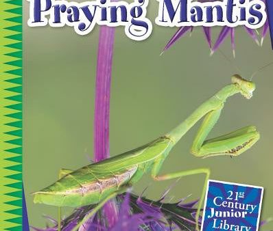 Praying Mantis Supply