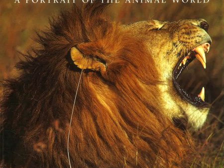 [Bargain corner] Lions: A Portrait Of The Animal World Online now