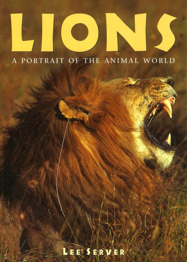 [Bargain corner] Lions: A Portrait Of The Animal World Online now