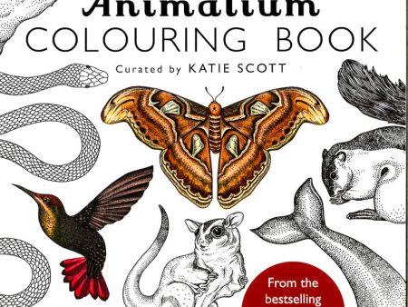 Animalium Colouring Book Online Hot Sale