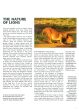 [Bargain corner] Lions: A Portrait Of The Animal World Online now